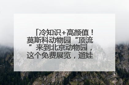 冷知识+高颜值！莫斯科动物园“顶流”来到北京动物园，这个免费展览，遛娃拍照两不误！